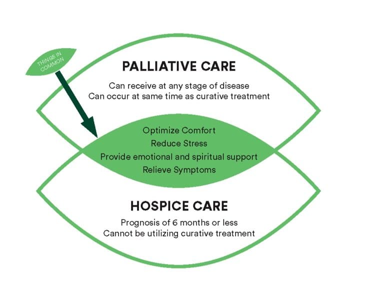 Palliative Care Treatment Three Oaks Hospice