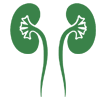 Renal Disease Symptom Management